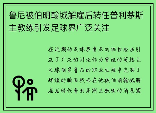 鲁尼被伯明翰城解雇后转任普利茅斯主教练引发足球界广泛关注 鲁尼被伯明翰城解雇后转任普利茅斯主教练引发足球界广泛关注